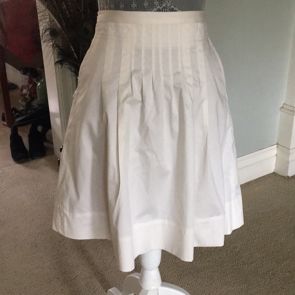 COPY - BCBG Max Azria Skirt